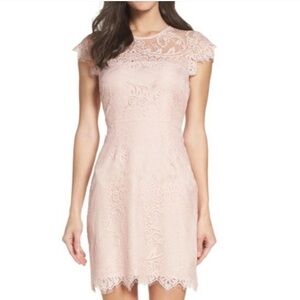 BB Dakota by Steve Madden Jayce Lace Sheath Cocktail Dress Sz S - Blush Pink